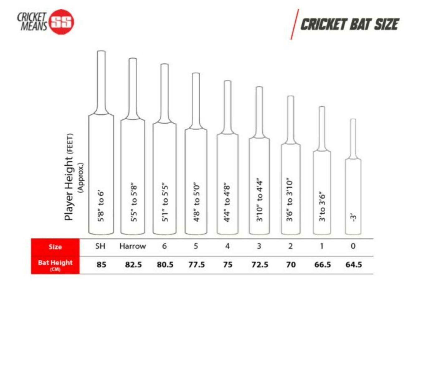 SS Ton 999 English Willow Cricket Bat