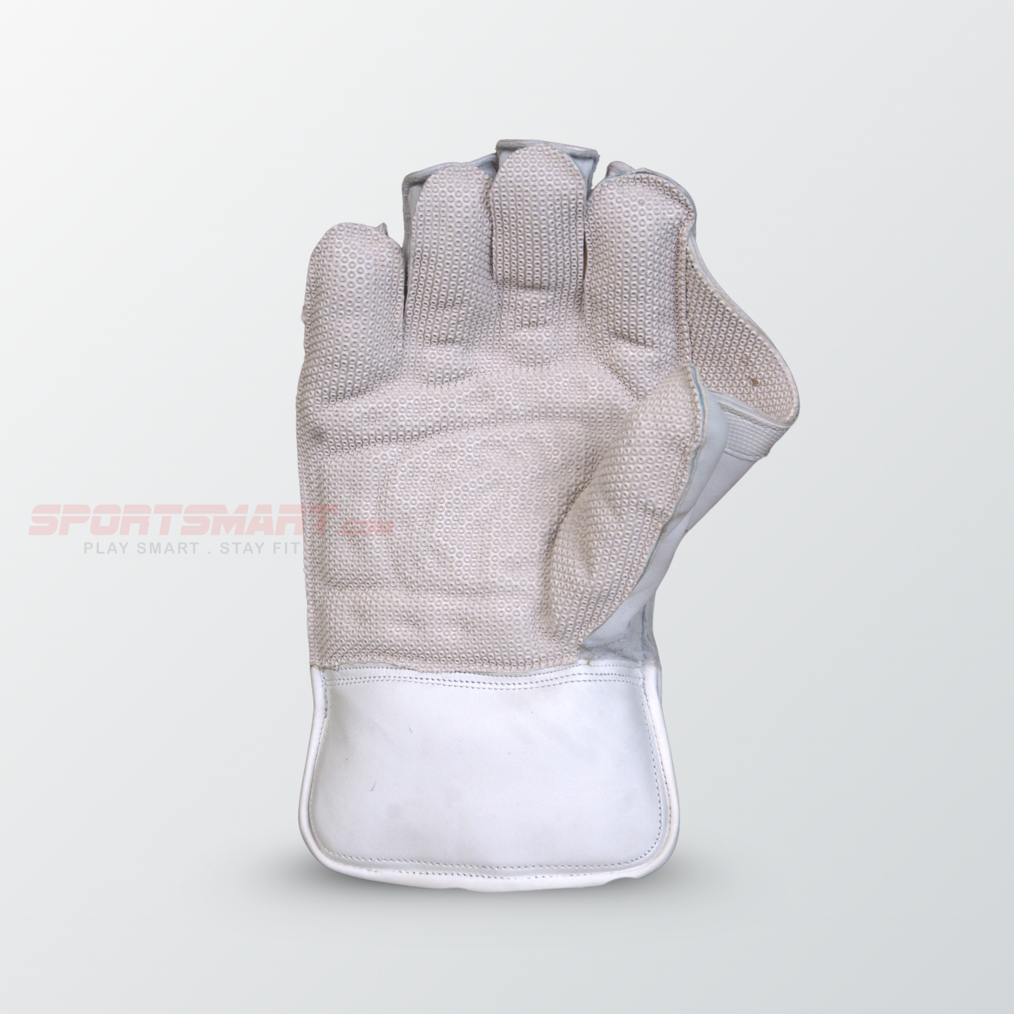 D Sports Golden Wicket Keeping Gloves